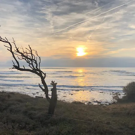 Avec Vue Sur
