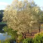 Avec Vue Sur *
