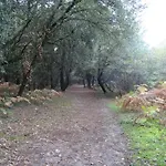 Avec Vue Sur *